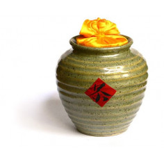 Світло-зелена чайниця Сян Тао