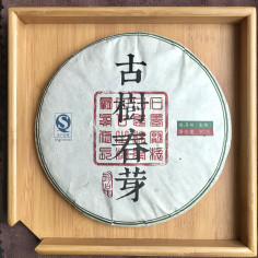 Весняні бруньки давніх дерев