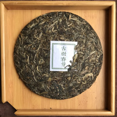 Весняні бруньки давніх дерев 2