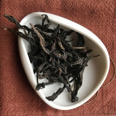 Нарцис з високих кущів