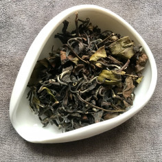 Східна красуня із чайного саду Шидін