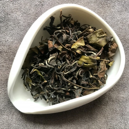 Східна красуня із чайного саду Шидін