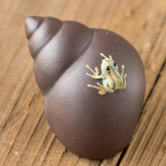 Жабка на мушлі,...