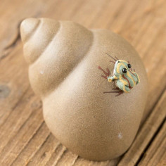 Жабка на мушлі, бежева