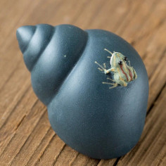 Жабка на мушлі, синя