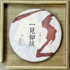 Дружба з першої зустрічі