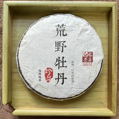 Дикоросла біла півонія в млинці