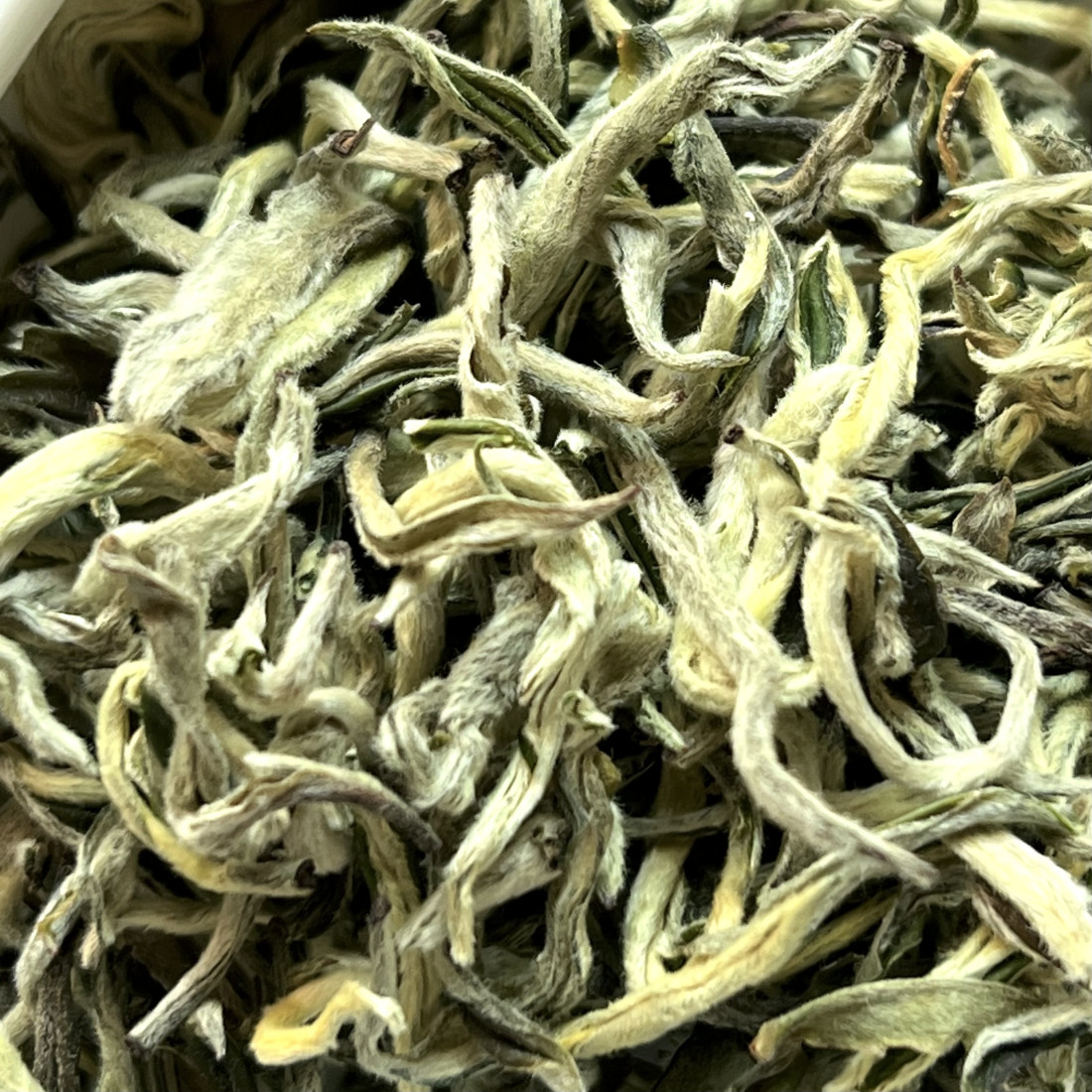 Сніговий дракон 2023  (-30%) Сніговий дракон 2023  (-30%)