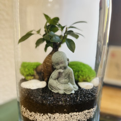 Маленький Будда - флораріум у колбі (самовивіз)