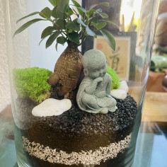 Маленький Будда - флораріум у колбі (самовивіз) 2