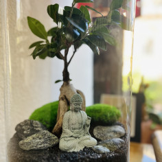 Будда — флораріум у колбі (самовивіз)