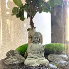 Будда — флораріум у колбі (самовивіз) 2