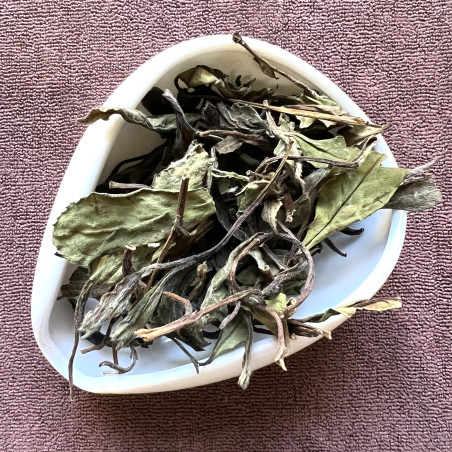 Біла півонія Біла півонія