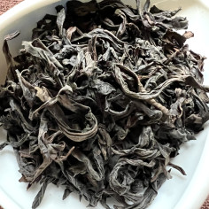 Водяна золота черепаха 2