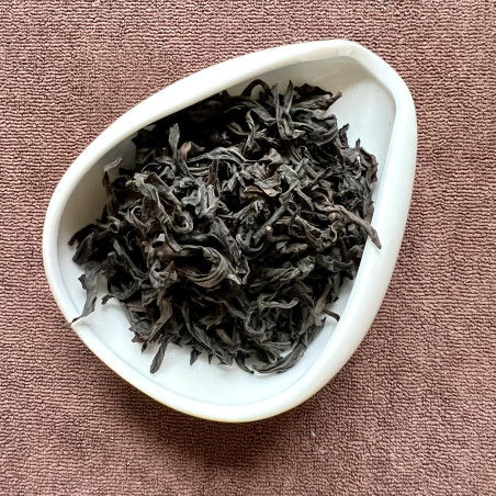 Водяна золота черепаха Водяна золота черепаха