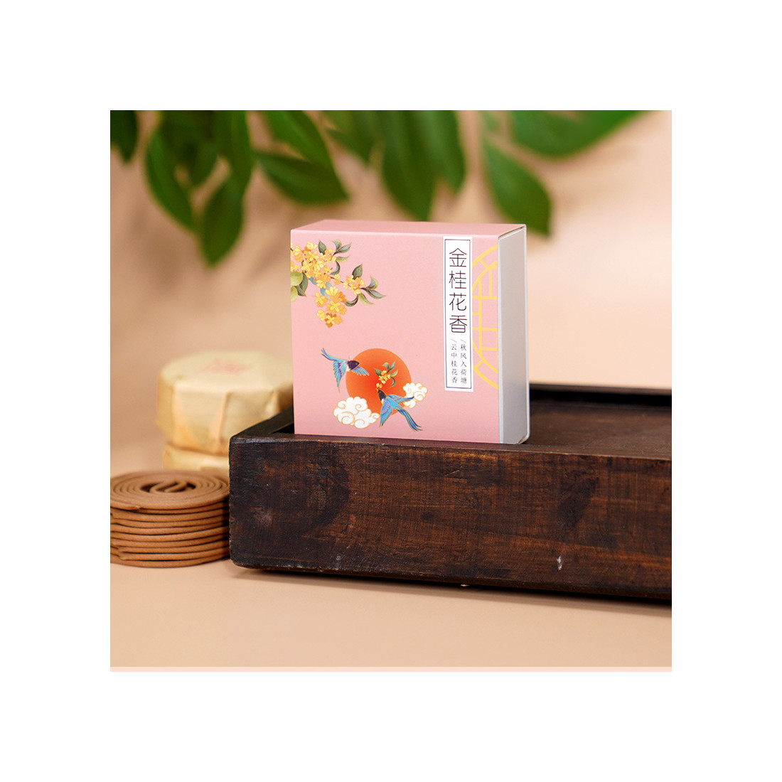 Китайські спіральні пахощі (20 шт) Китайські спіральні пахощі (20 шт)