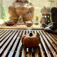 Жаба на гарбузі, чайна іграшка 2