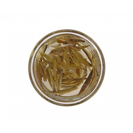 Срібні голки з білим ворсом Срібні голки з білим ворсом