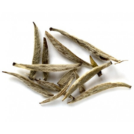 Срібні голки з білим ворсом Срібні голки з білим ворсом