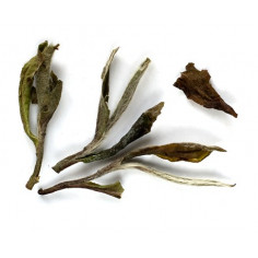 Білий півонія з гори Тай Му Шань