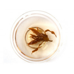 Квіти магнолії