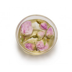 Квіти чайної троянди 2