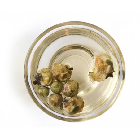 Квіти снігової сливи