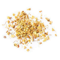 Квіти запашного османтусу