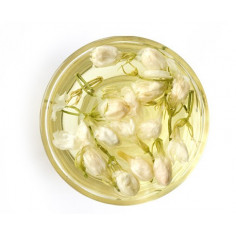 Квіти жасмину 2