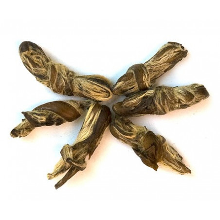 Жасминовий нефритовий метелик