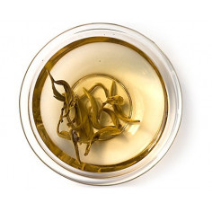 Жасминовий нефритовий метелик 2