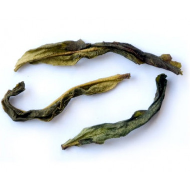 Самотні кущі з гір Фенікса з ароматом магнолії