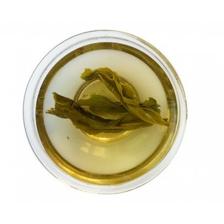 Самотні кущі з гір Фенікса з ароматом магнолії