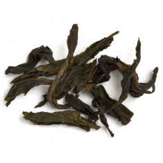 Чудова орхідея