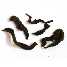 Жовта троянда