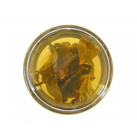 Женьшеневий улун