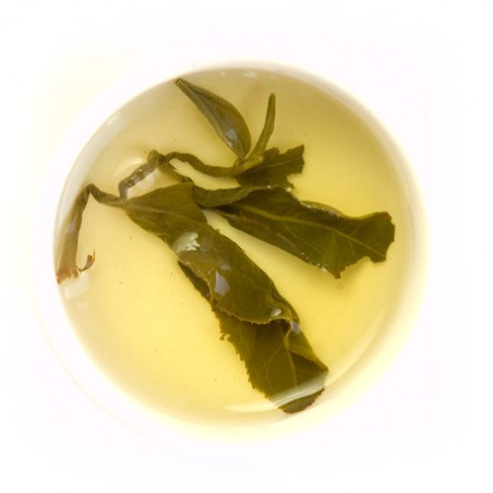 Струмок гірського лісу