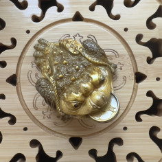 Золота трилапа жаба, що... 2