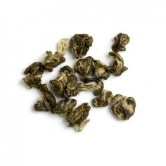 Смарагдові спіралі весни