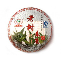 Весняні бруньки старих дерев