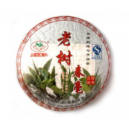 Весняні бруньки старих дерев