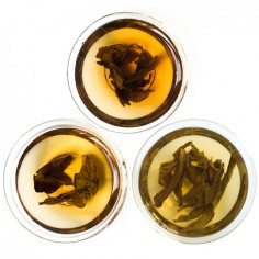 Різноманітність північнофуцзяньських улунів (середній рівень)