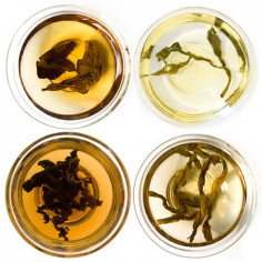 Знайомство з улунами (початковий рівень)