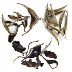 Знайомство з білим чаєм (початковий рівень)