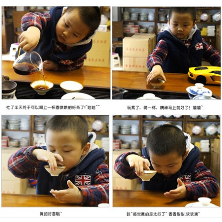 Аромат камфорового дерева Аромат камфорового дерева