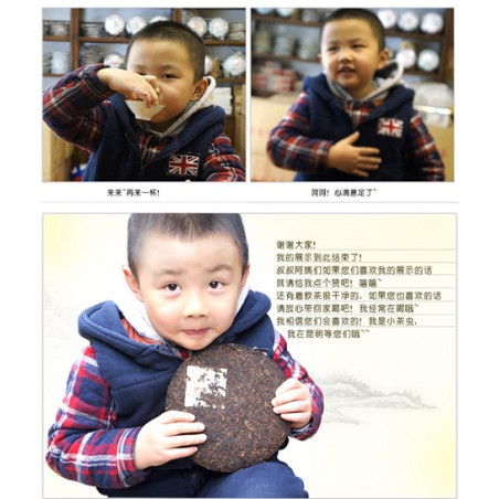 Аромат камфорового дерева Аромат камфорового дерева