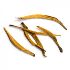 Великі золоті голки з давніх дерев