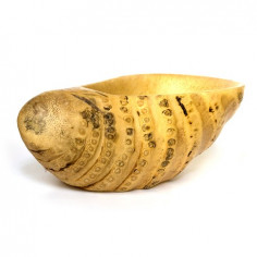 Тарілка з кореня бамбука 2