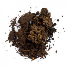 Коржик сімох братів від CNNP 2