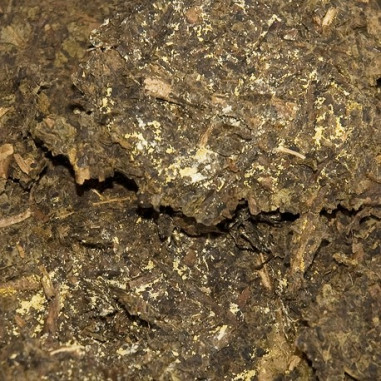 Набір пробників чорного чаю Хунані. Набір пробників чорного чаю Хунані.